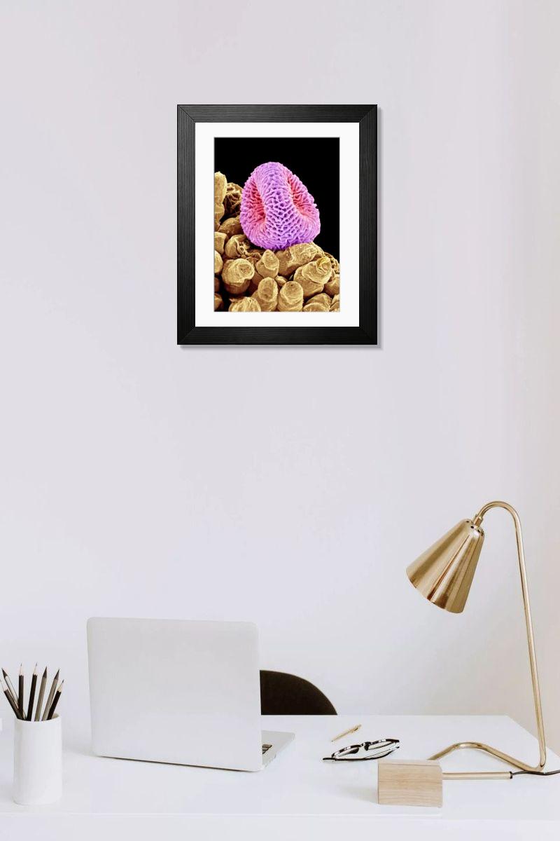 Shown hanging in a room: Modern 14"x12" (36x31cm)