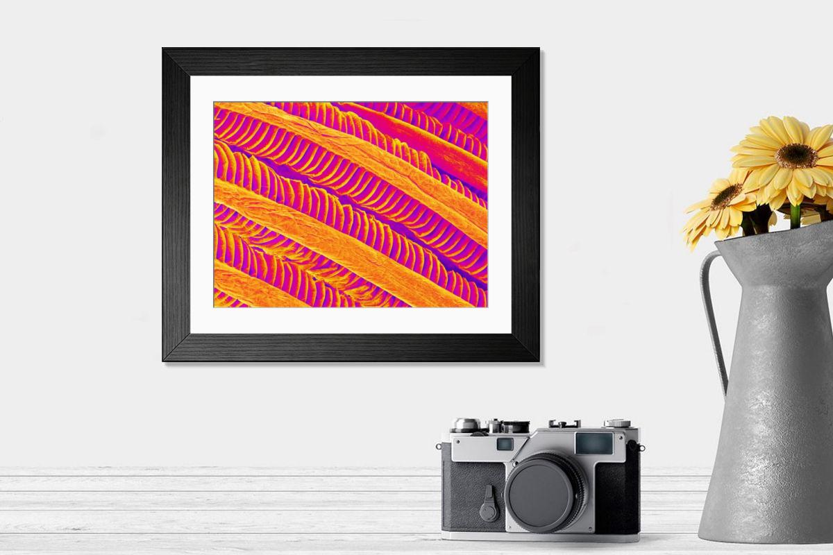 Shown hanging in a room: Modern 14"x12" (36x31cm)
