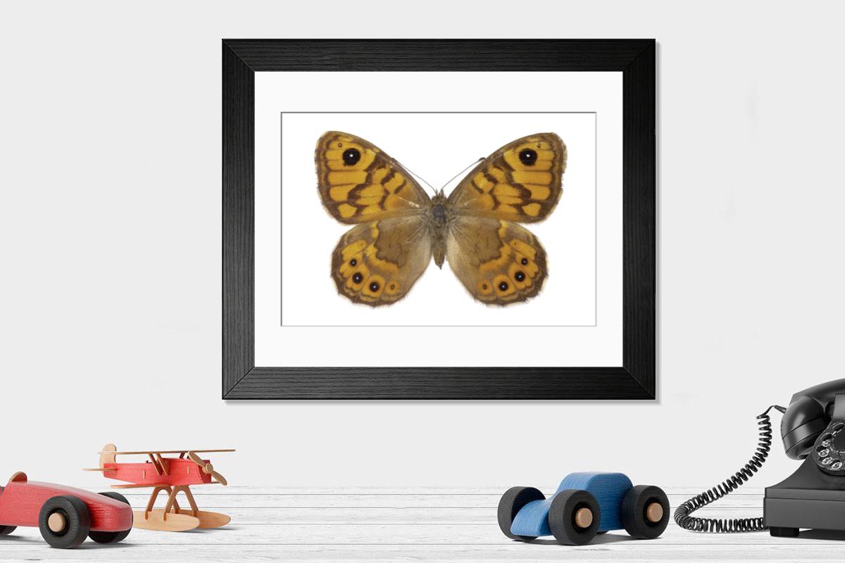 Shown hanging in a room: Modern 14"x12" (36x31cm)