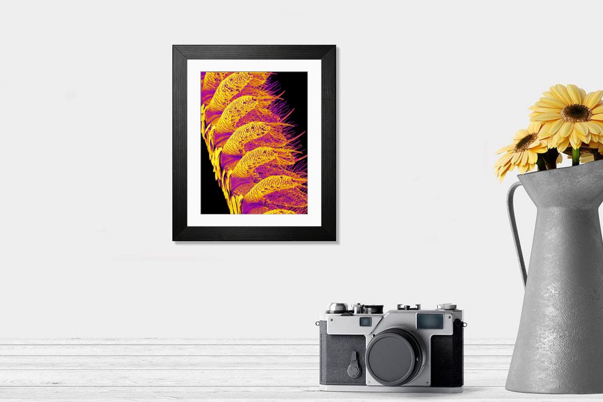 Shown hanging in a room: Modern 14"x12" (36x31cm)