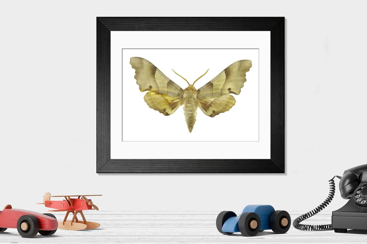 Shown hanging in a room: Modern 14"x12" (36x31cm)