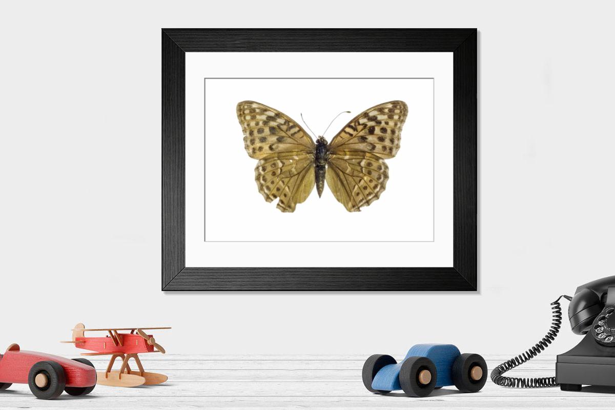 Shown hanging in a room: Modern 14"x12" (36x31cm)