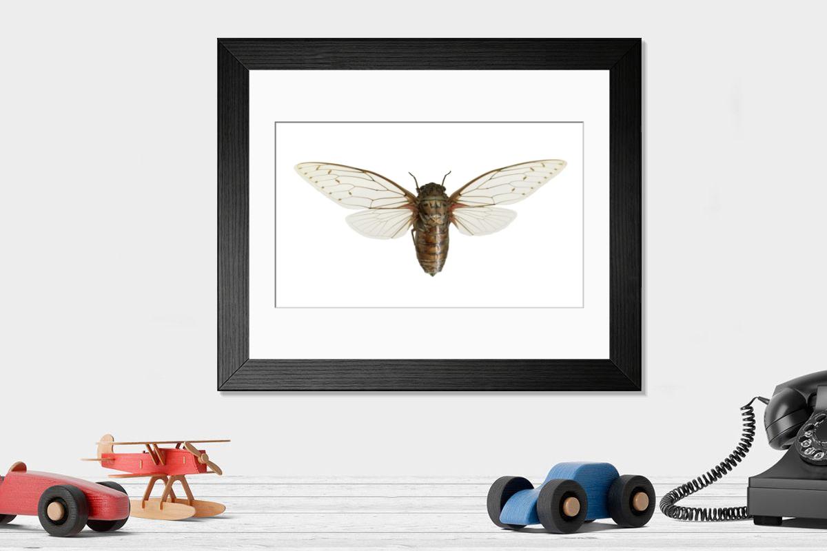 Shown hanging in a room: Modern 14"x12" (36x31cm)
