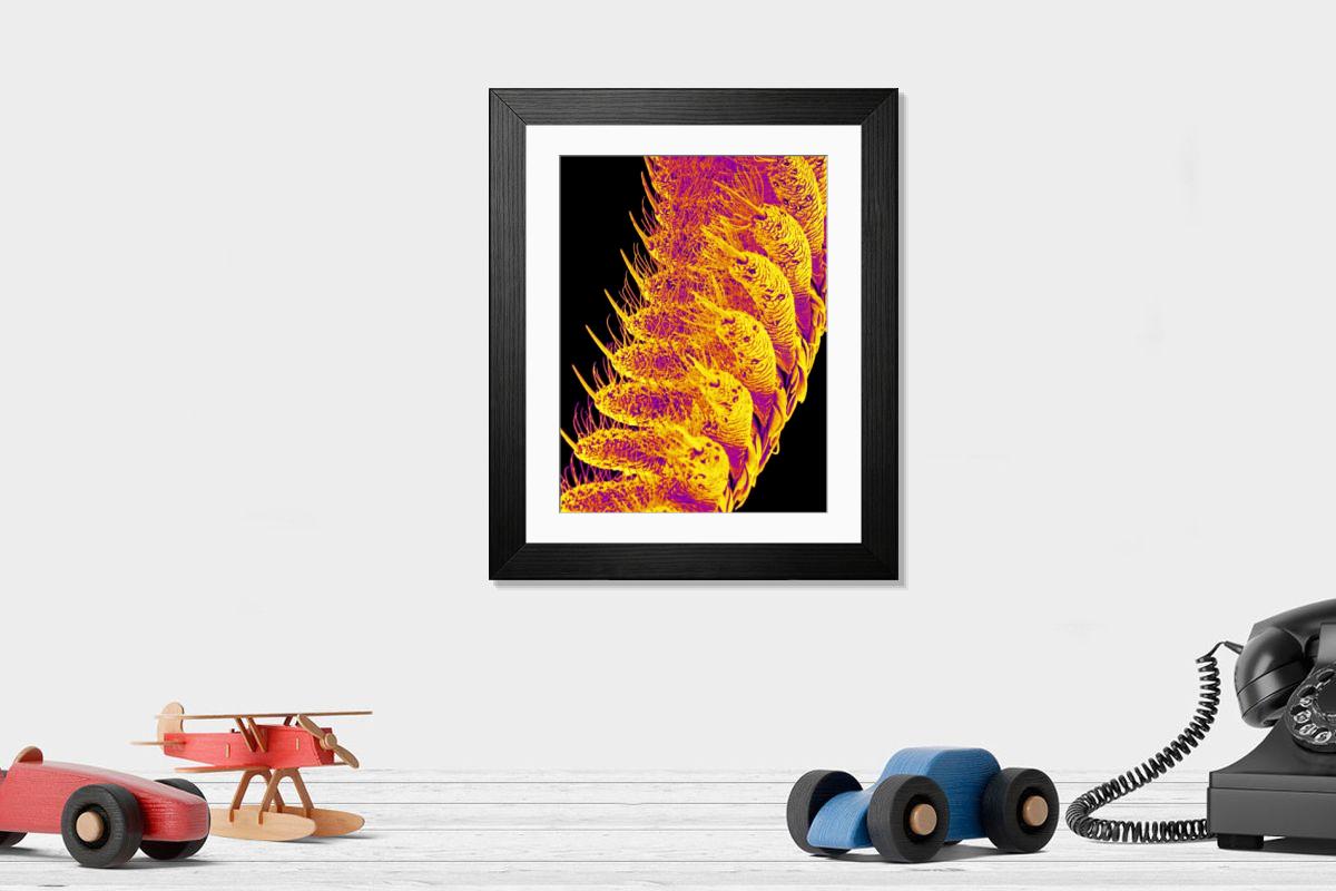 Shown hanging in a room: Modern 14"x12" (36x31cm)