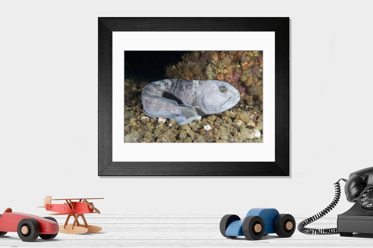 Shown hanging in a room: Modern 14"x12" (36x31cm)