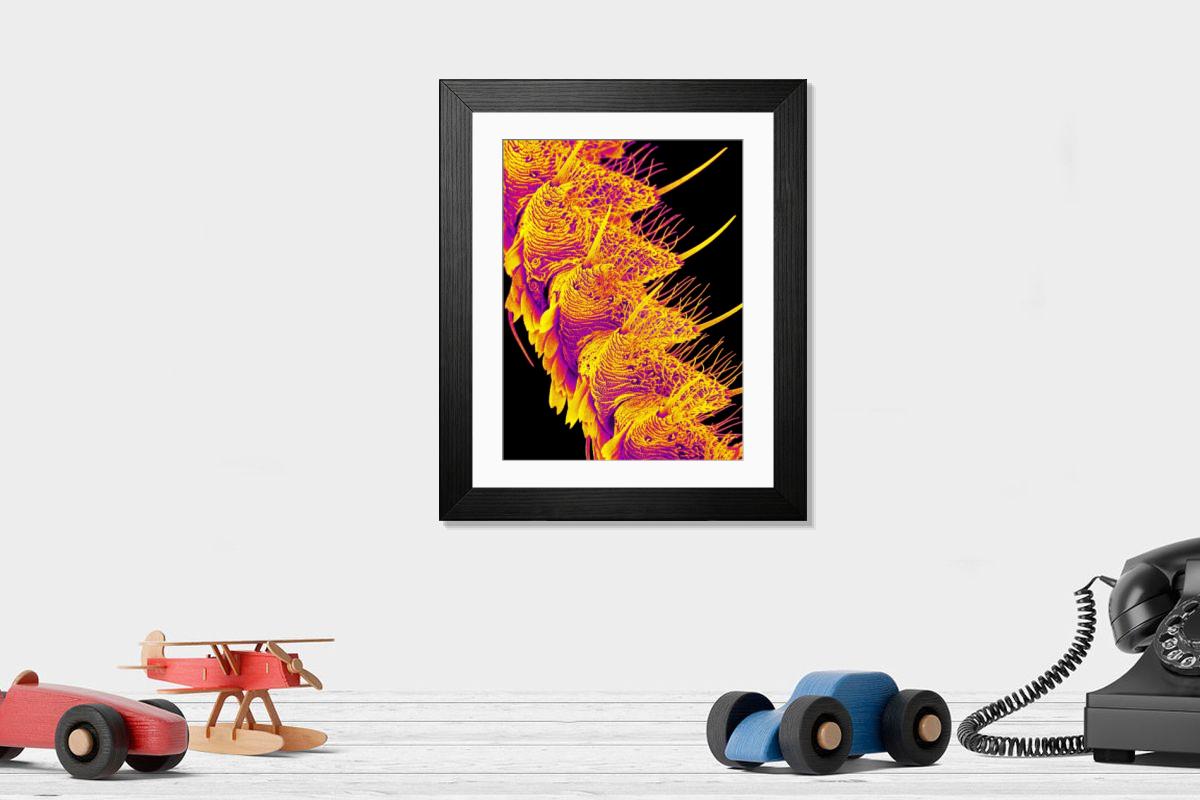 Shown hanging in a room: Modern 14"x12" (36x31cm)