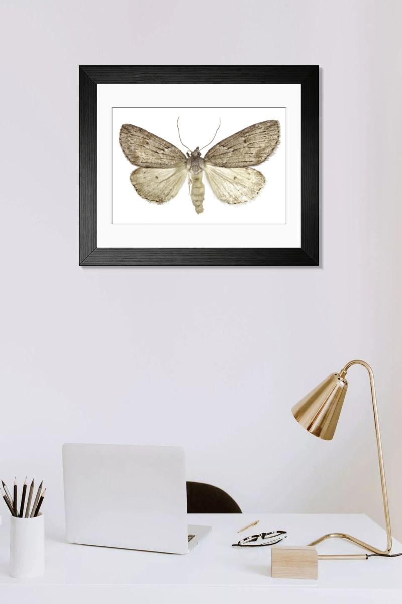 Shown hanging in a room: Modern 14"x12" (36x31cm)