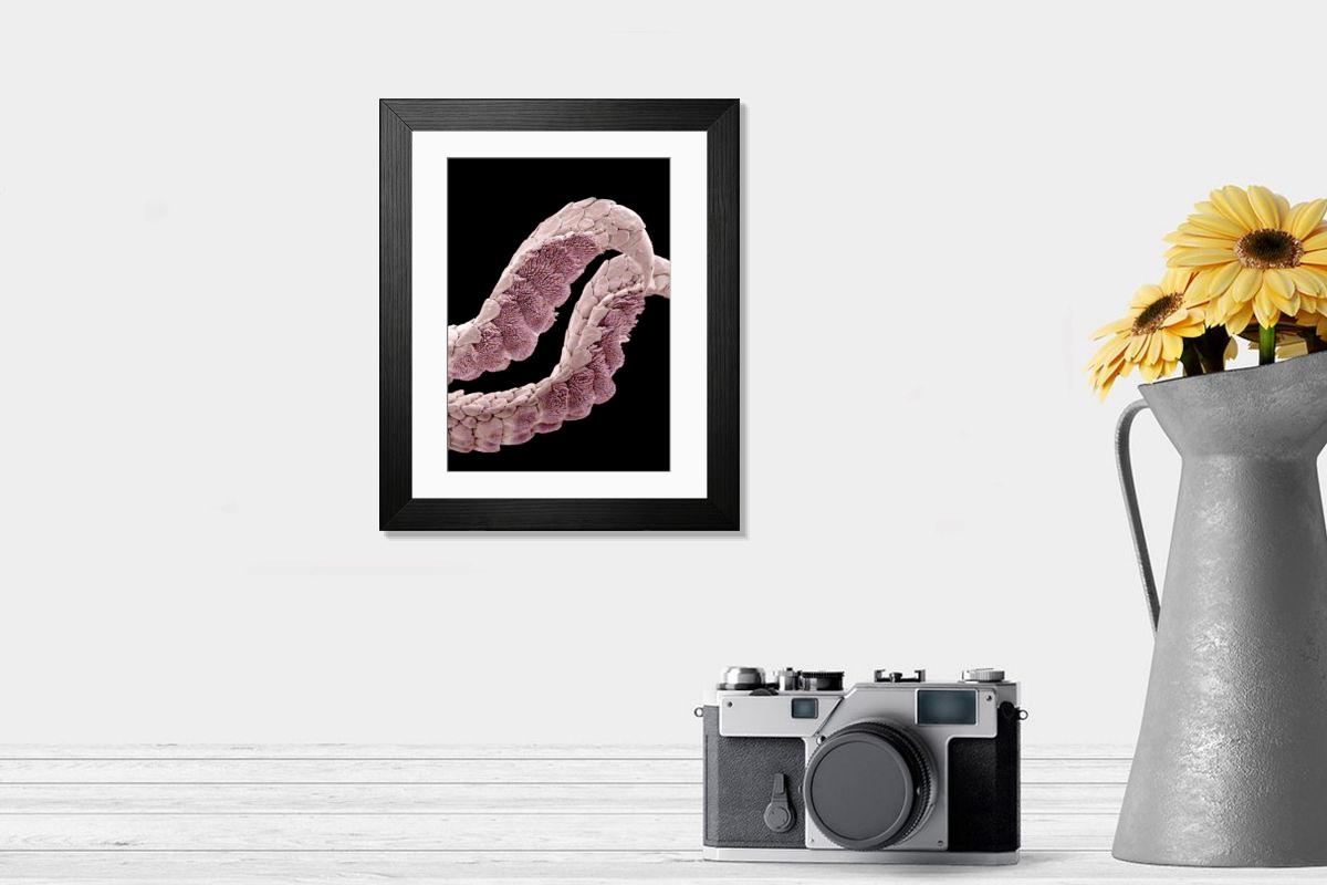 Shown hanging in a room: Modern 14"x12" (36x31cm)