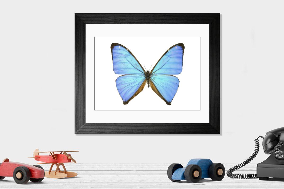Shown hanging in a room: Modern 14"x12" (36x31cm)
