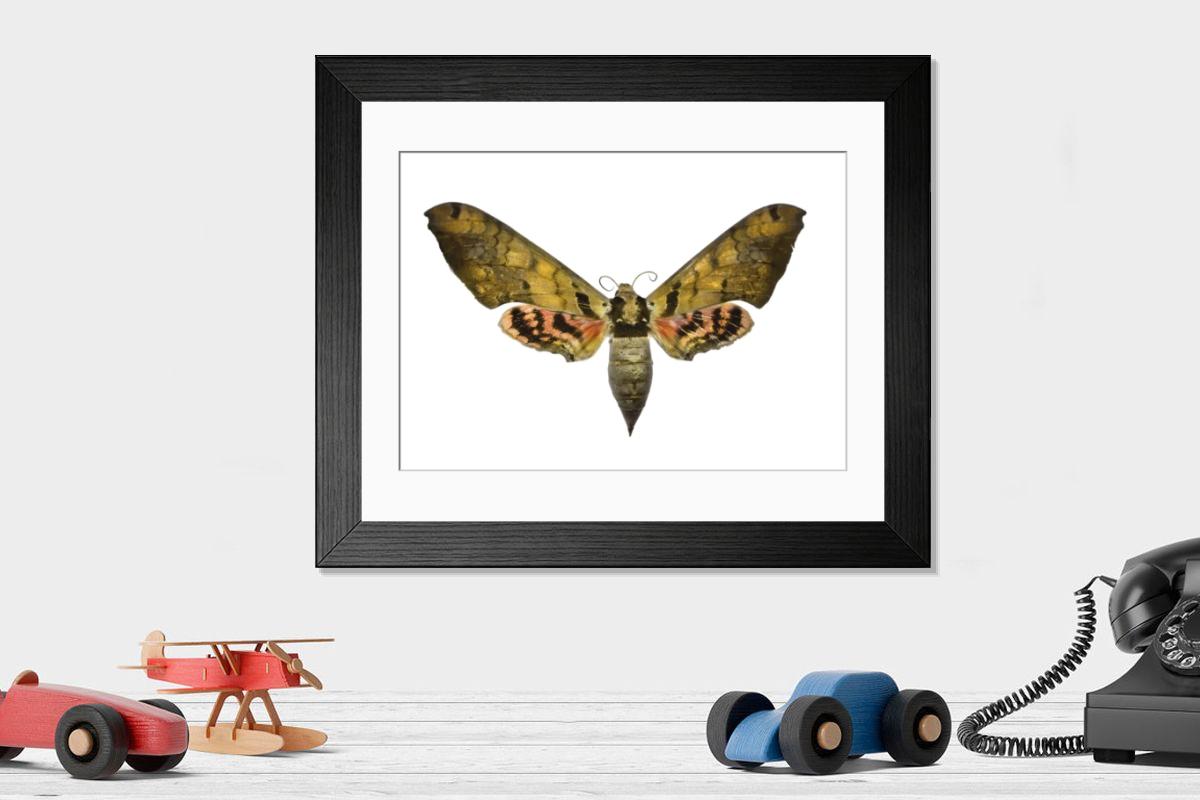 Shown hanging in a room: Modern 14"x12" (36x31cm)