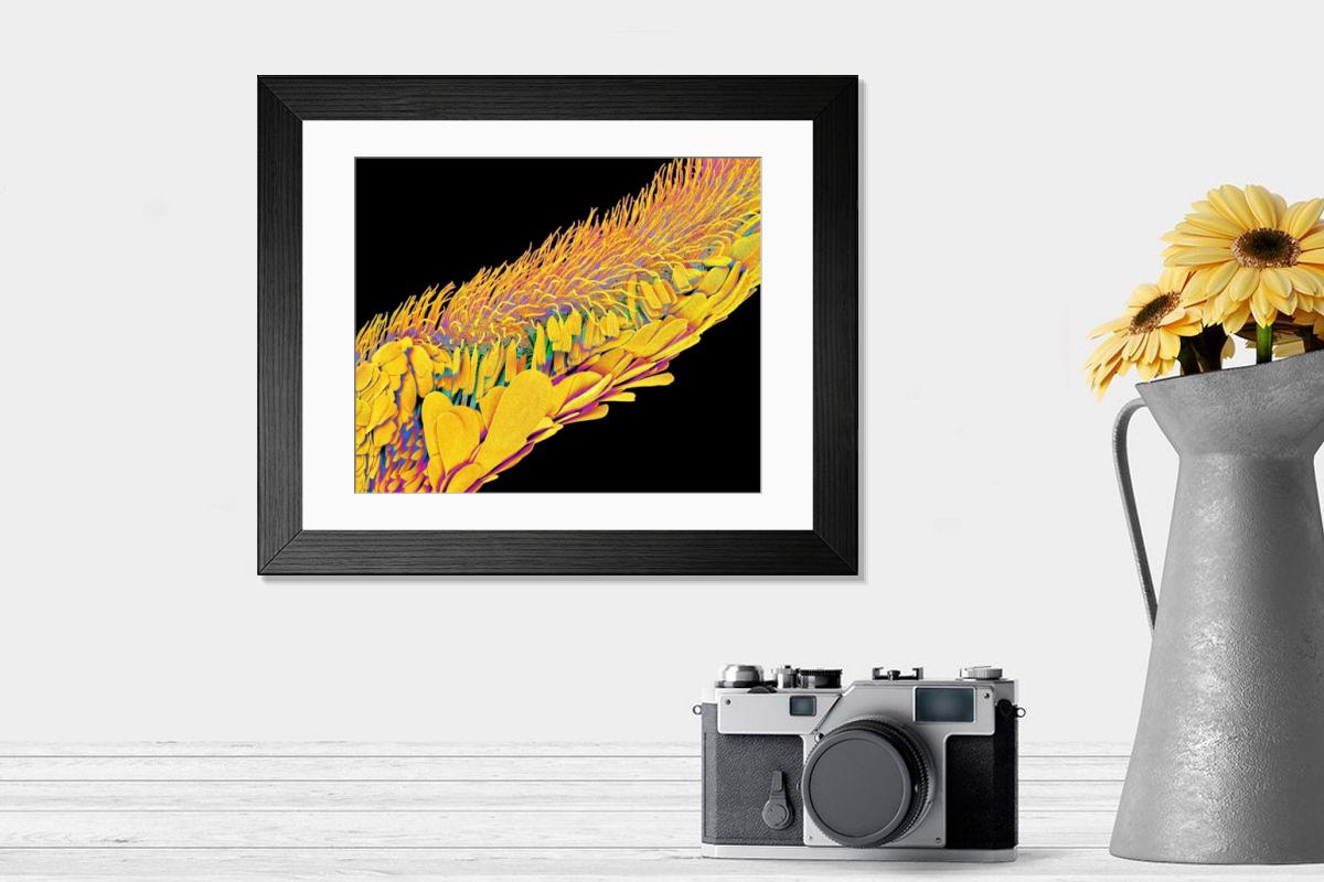 Shown hanging in a room: Modern 14"x12" (36x31cm)