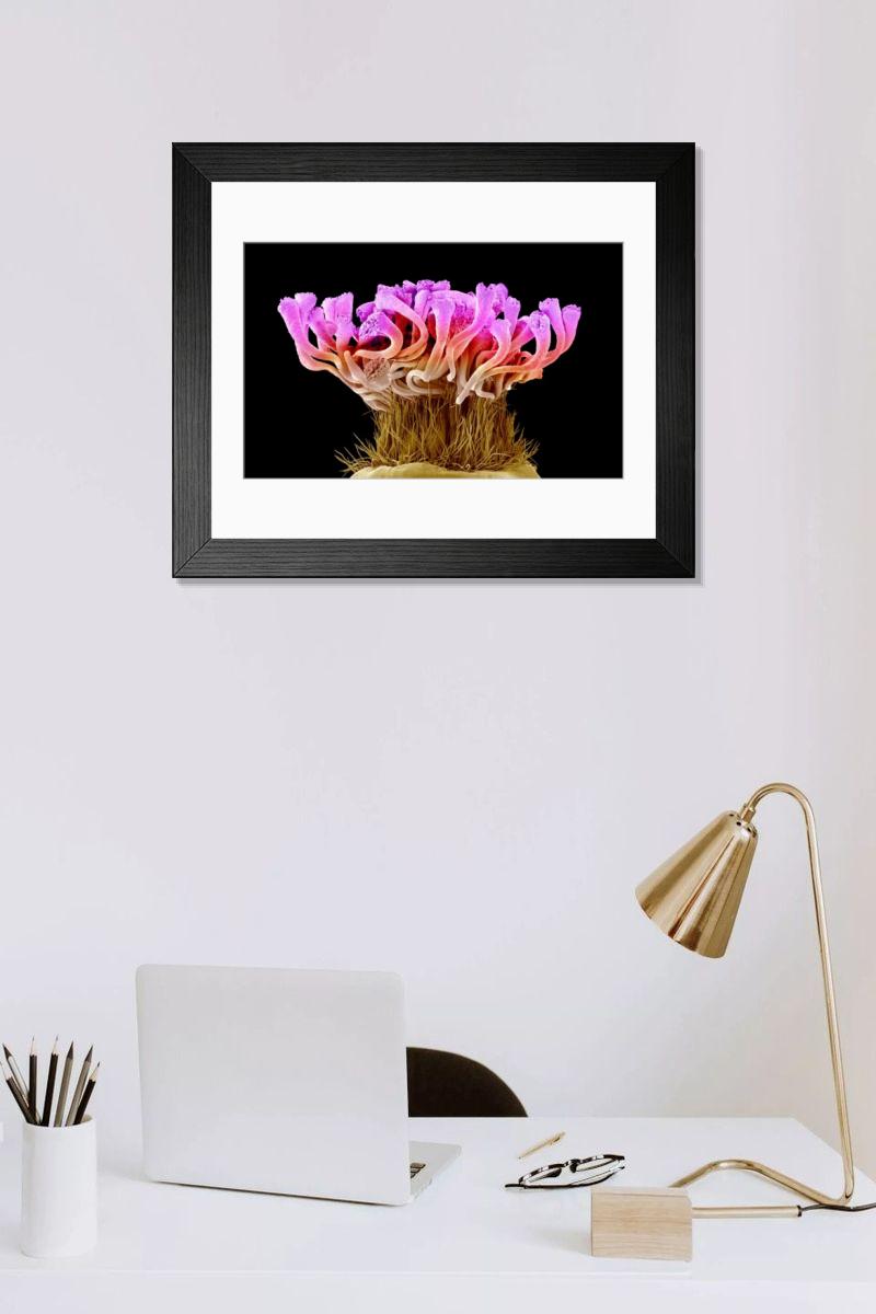 Shown hanging in a room: Modern 14"x12" (36x31cm)