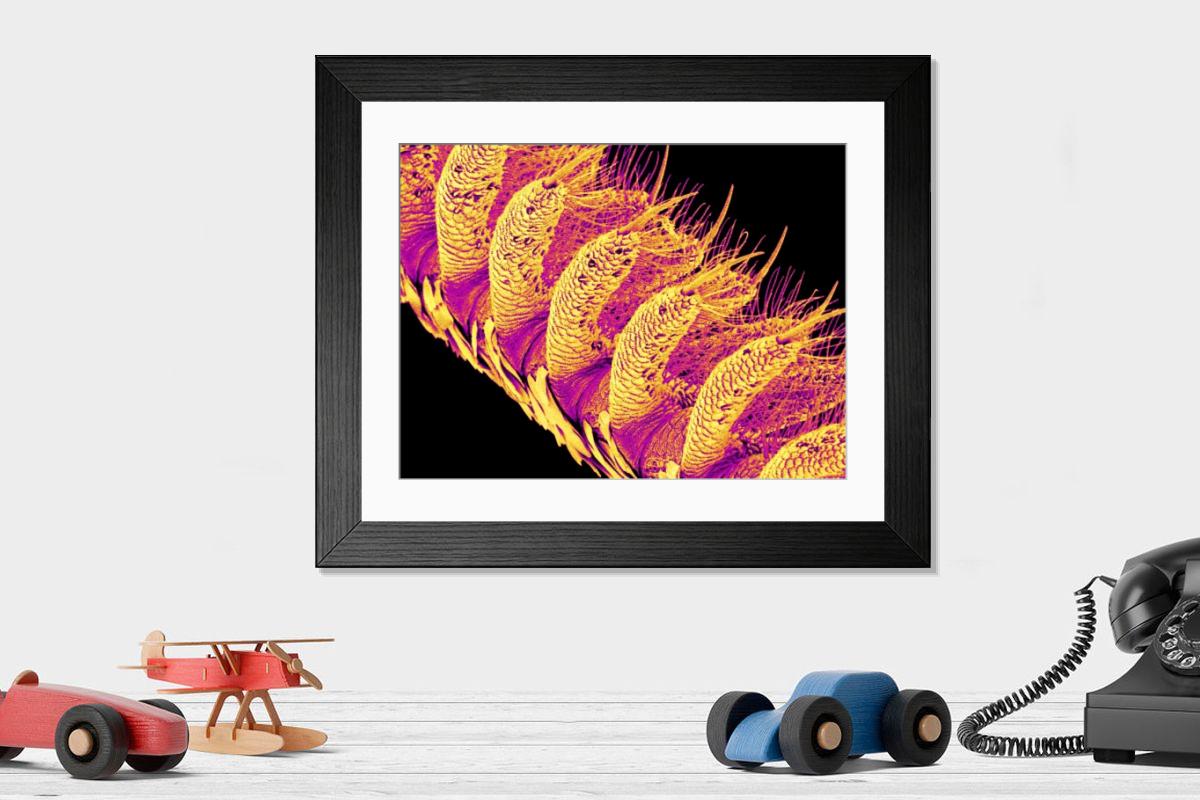 Shown hanging in a room: Modern 14"x12" (36x31cm)