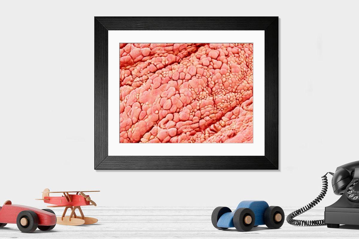 Shown hanging in a room: Modern 14"x12" (36x31cm)