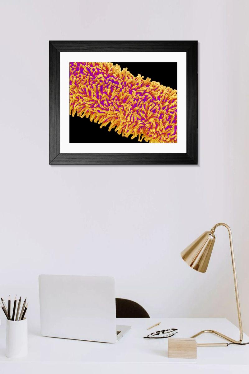 Shown hanging in a room: Modern 14"x12" (36x31cm)