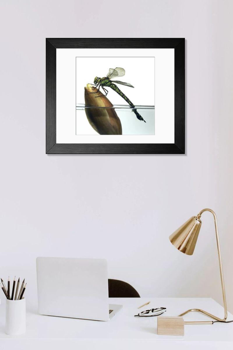 Shown hanging in a room: Modern 14"x12" (36x31cm)