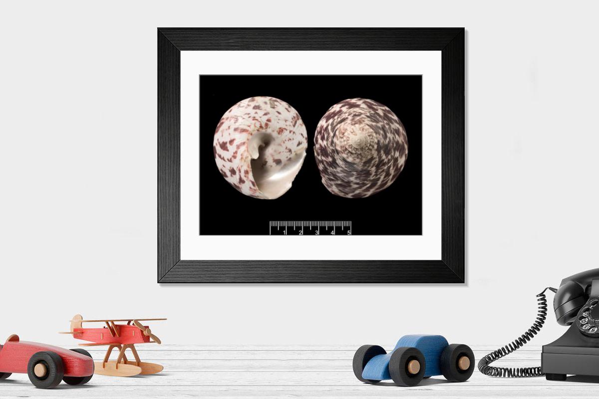 Shown hanging in a room: Modern 14"x12" (36x31cm)