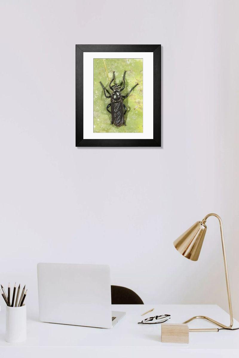 Shown hanging in a room: Modern 14"x12" (36x31cm)