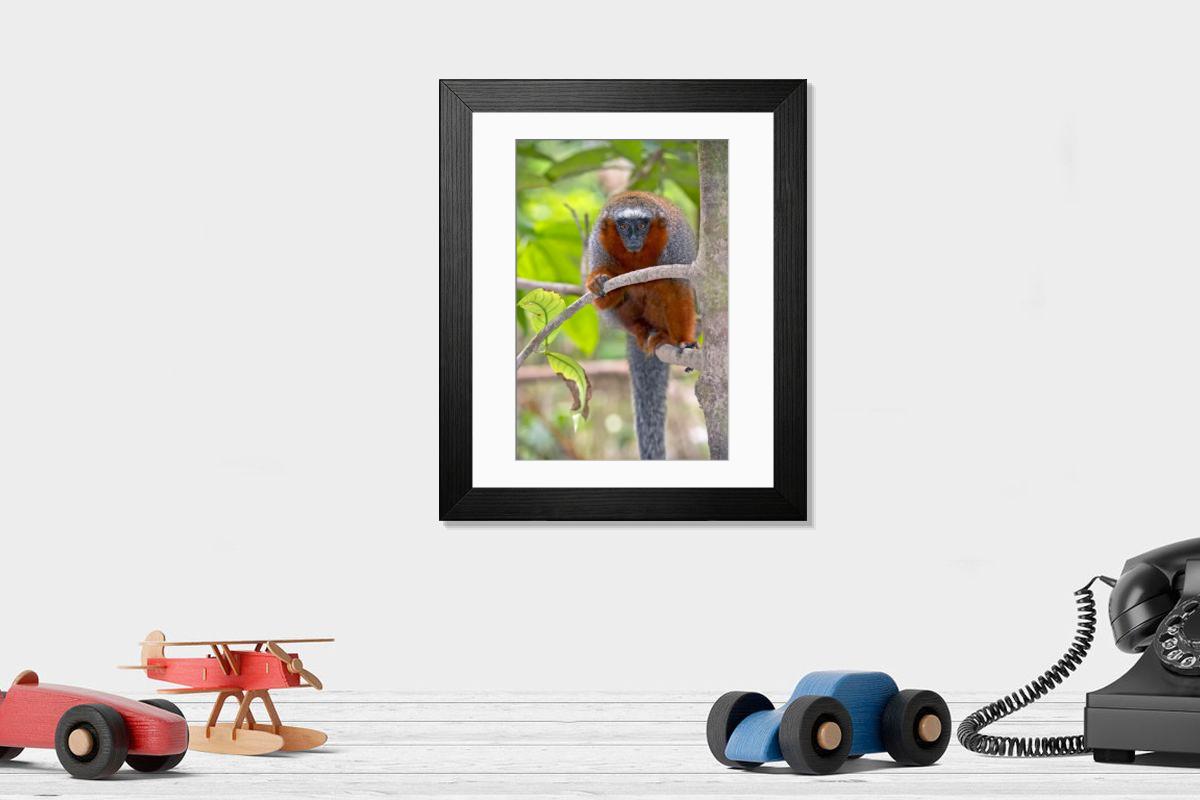 Shown hanging in a room: Modern 14"x12" (36x31cm)