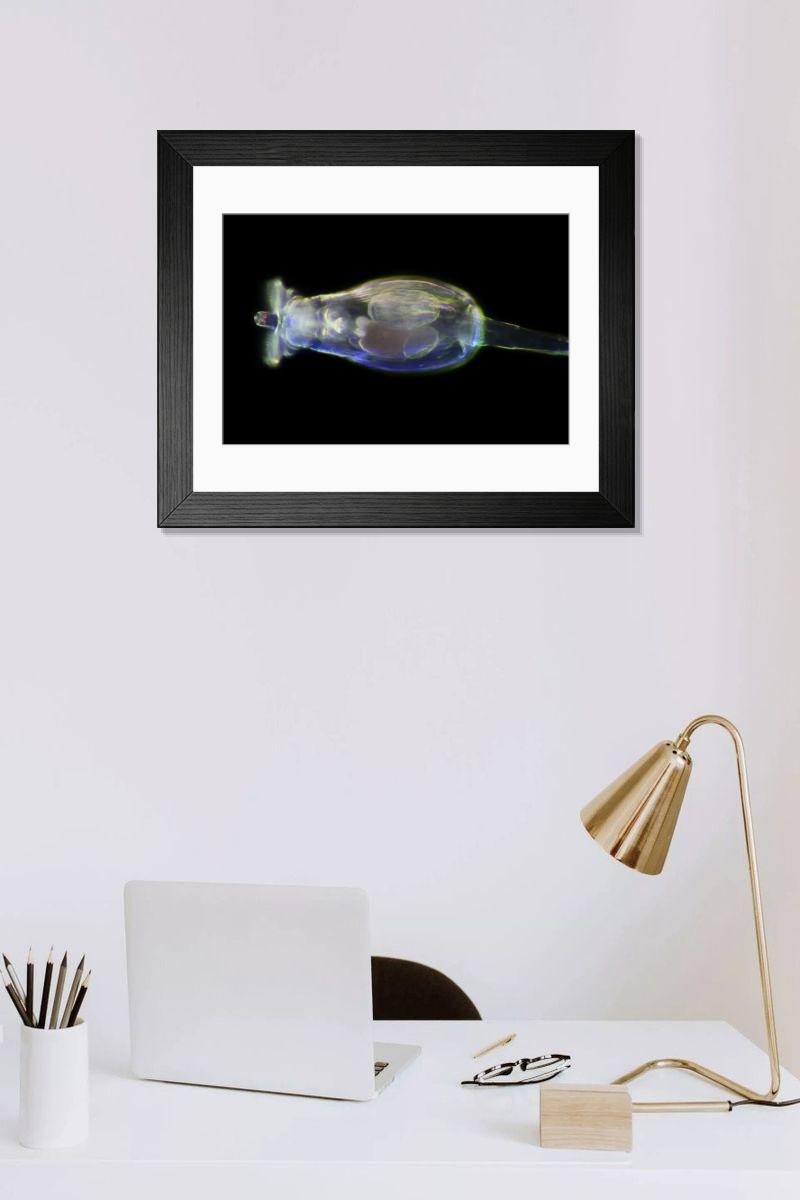 Shown hanging in a room: Modern 14"x12" (36x31cm)