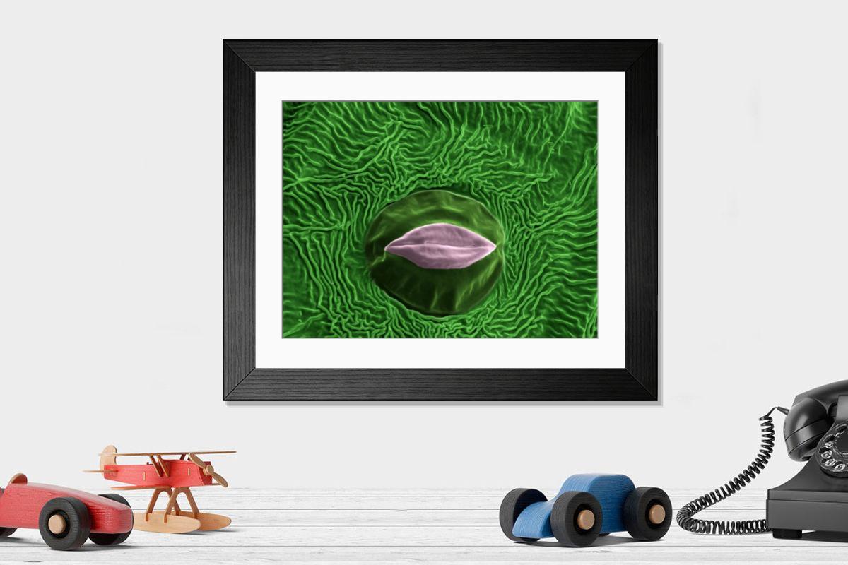 Shown hanging in a room: Modern 14"x12" (36x31cm)