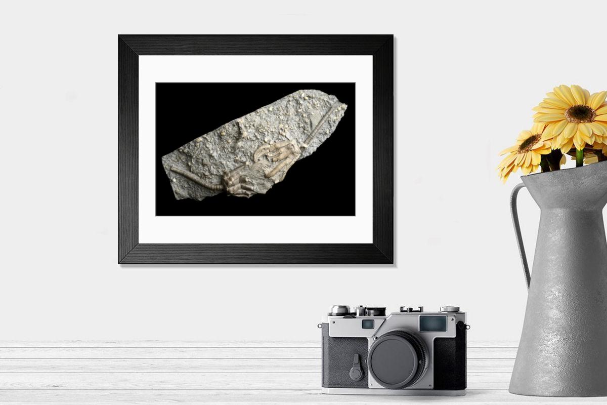 Shown hanging in a room: Modern 14"x12" (36x31cm)