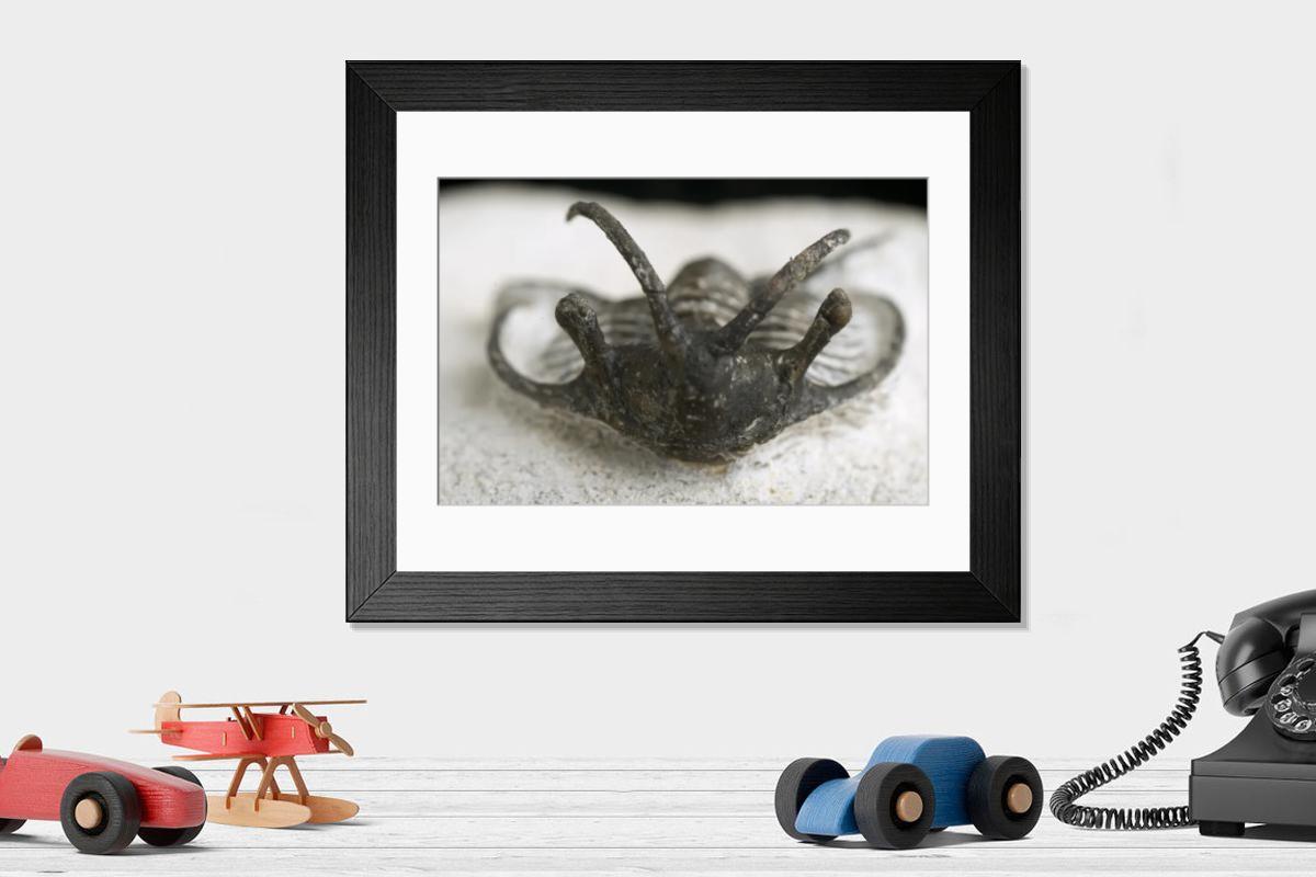 Shown hanging in a room: Modern 14"x12" (36x31cm)