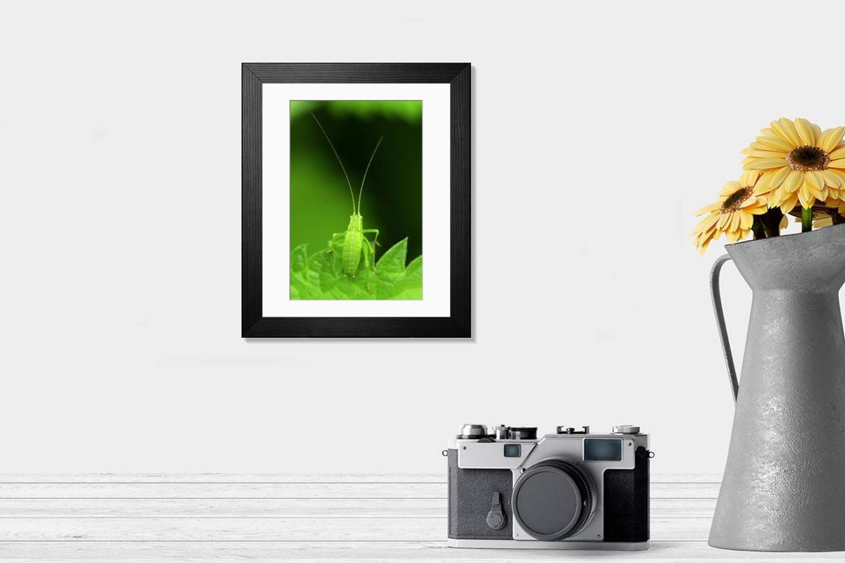 Shown hanging in a room: Modern 14"x12" (36x31cm)