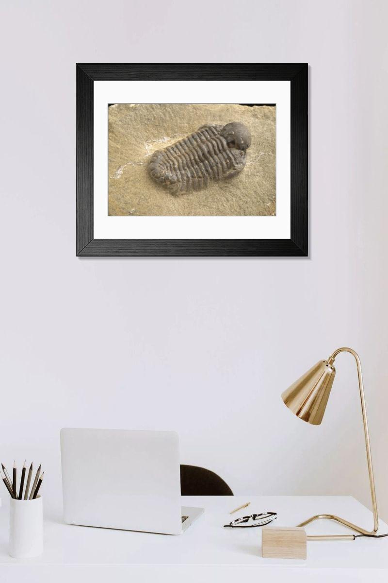 Shown hanging in a room: Modern 14"x12" (36x31cm)