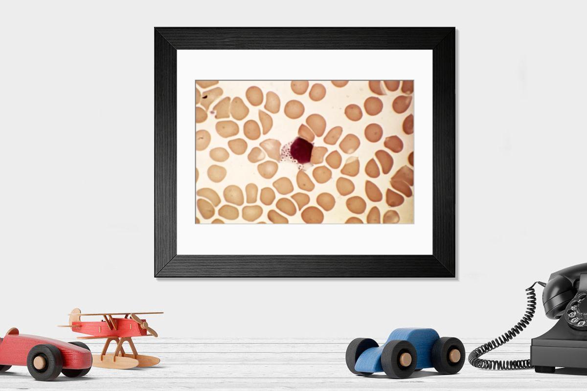 Shown hanging in a room: Modern 14"x12" (36x31cm)
