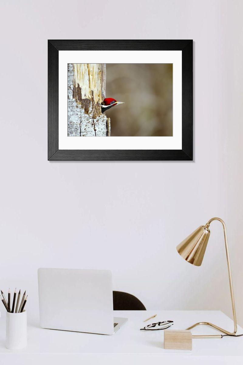 Shown hanging in a room: Modern 14"x12" (36x31cm)