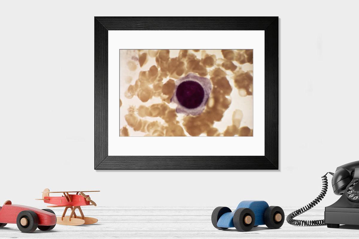 Shown hanging in a room: Modern 14"x12" (36x31cm)