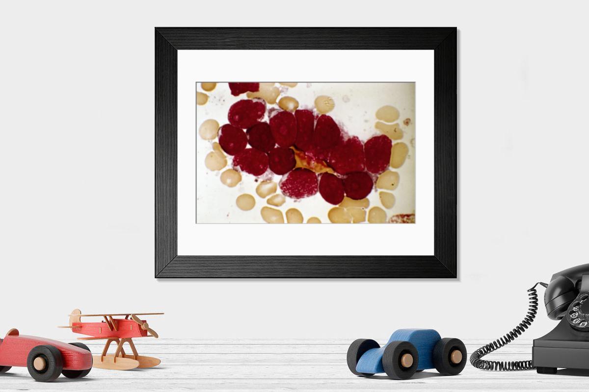 Shown hanging in a room: Modern 14"x12" (36x31cm)