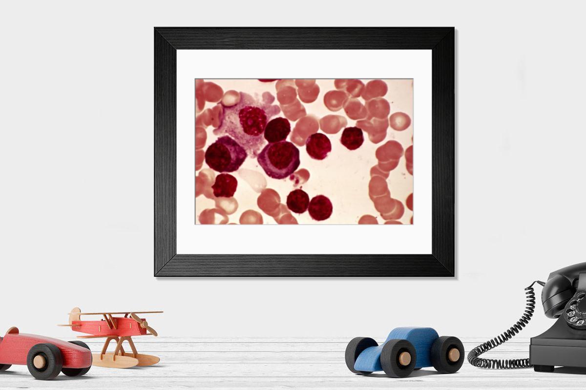 Shown hanging in a room: Modern 14"x12" (36x31cm)