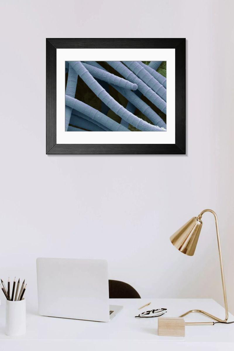 Shown hanging in a room: Modern 14"x12" (36x31cm)
