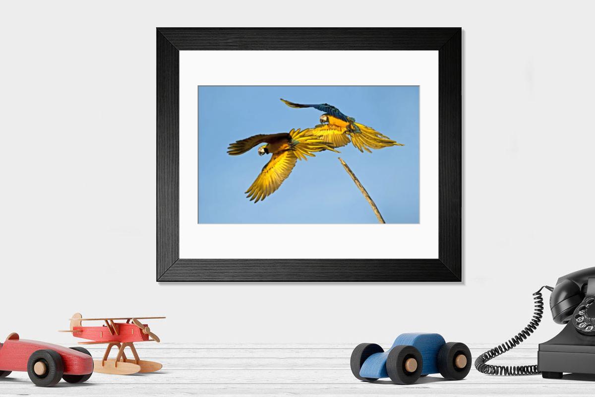 Shown hanging in a room: Modern 14"x12" (36x31cm)
