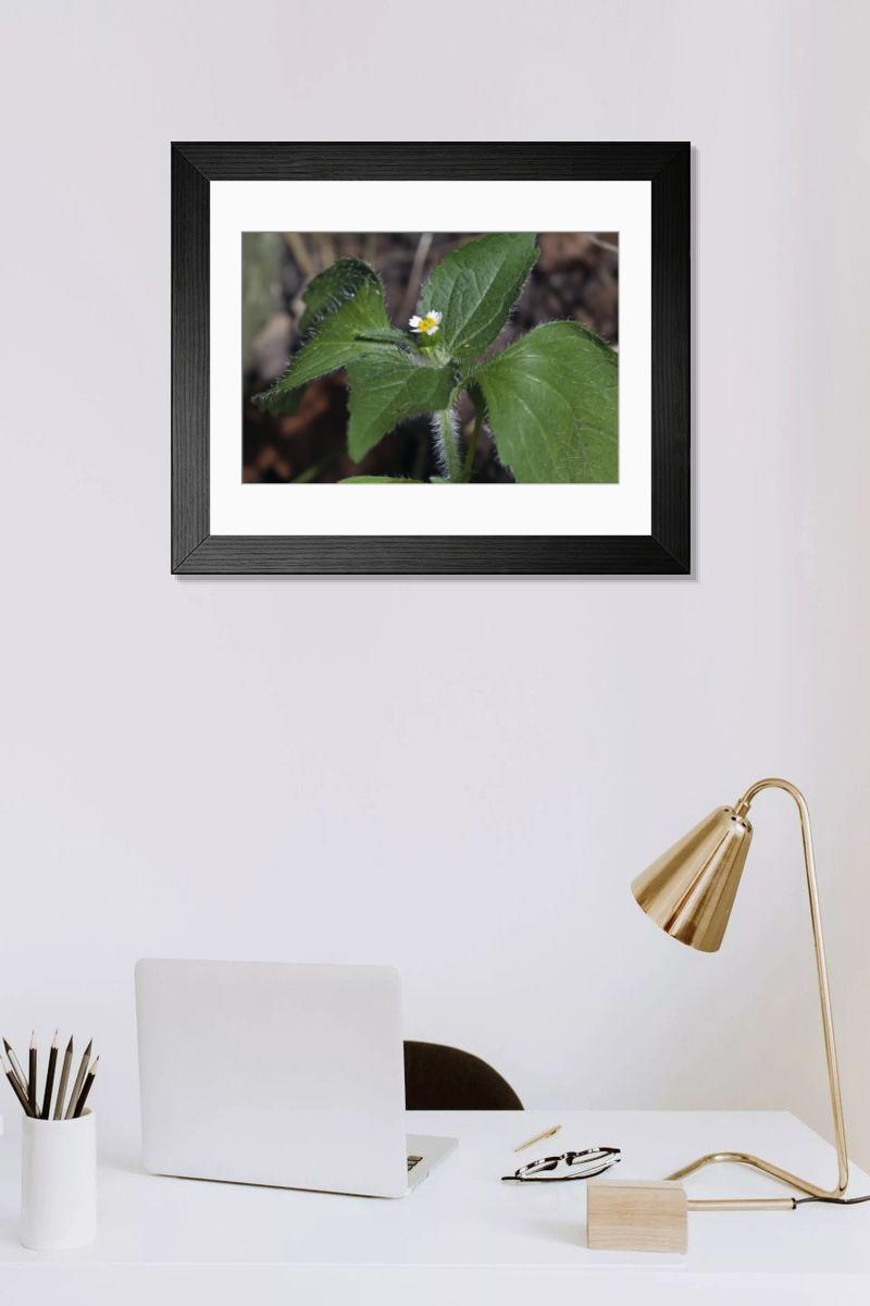 Shown hanging in a room: Modern 14"x12" (36x31cm)