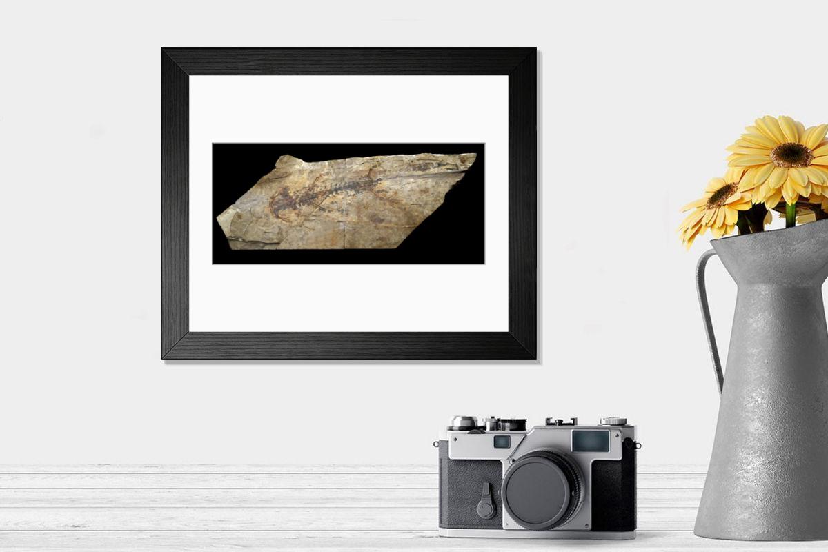 Shown hanging in a room: Modern 14"x12" (36x31cm)