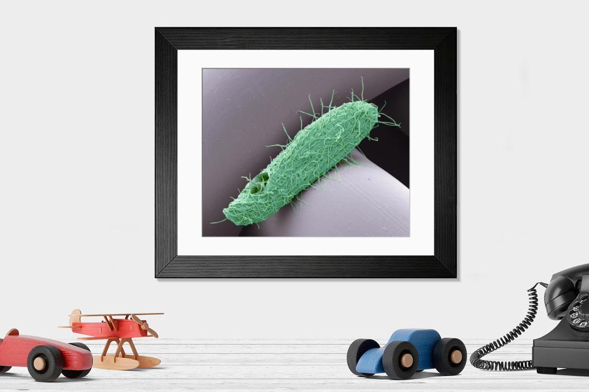 Shown hanging in a room: Modern 14"x12" (36x31cm)
