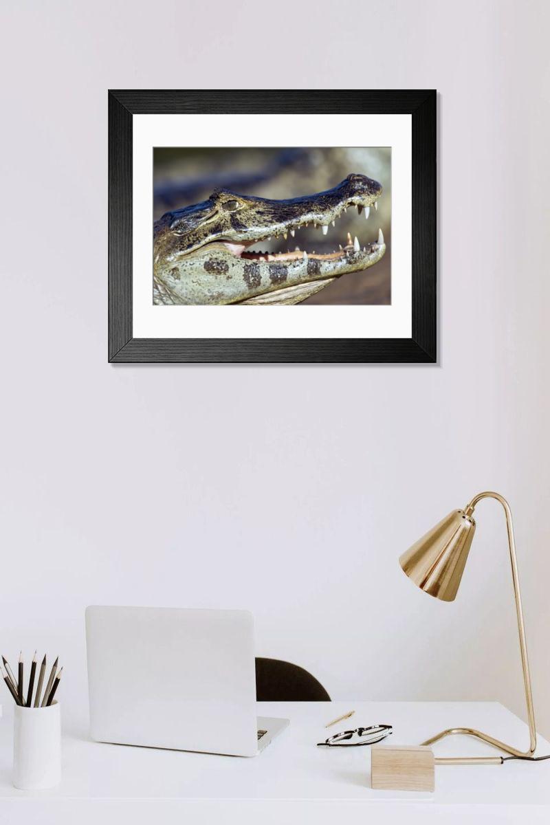 Shown hanging in a room: Modern 14"x12" (36x31cm)