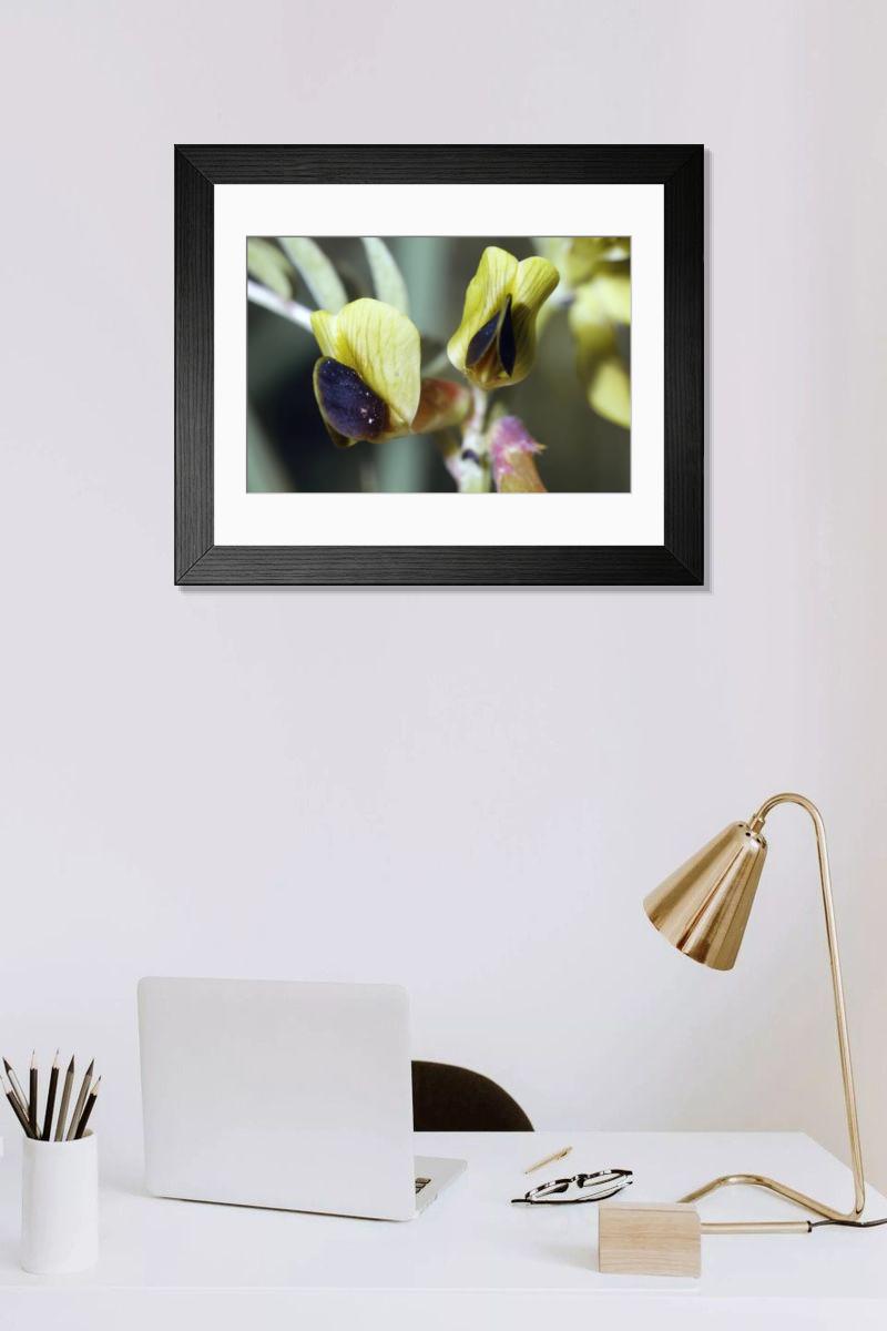 Shown hanging in a room: Modern 14"x12" (36x31cm)