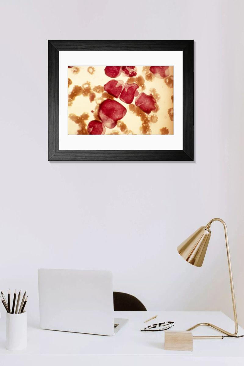 Shown hanging in a room: Modern 14"x12" (36x31cm)