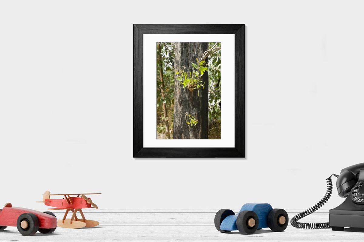 Shown hanging in a room: Modern 14"x12" (36x31cm)