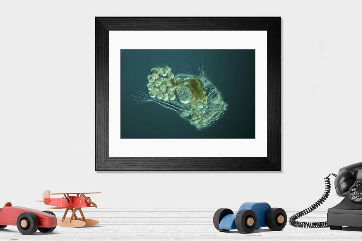 Shown hanging in a room: Modern 14"x12" (36x31cm)