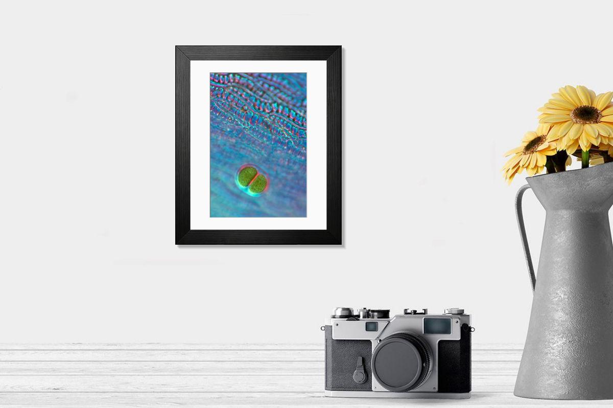 Shown hanging in a room: Modern 14"x12" (36x31cm)