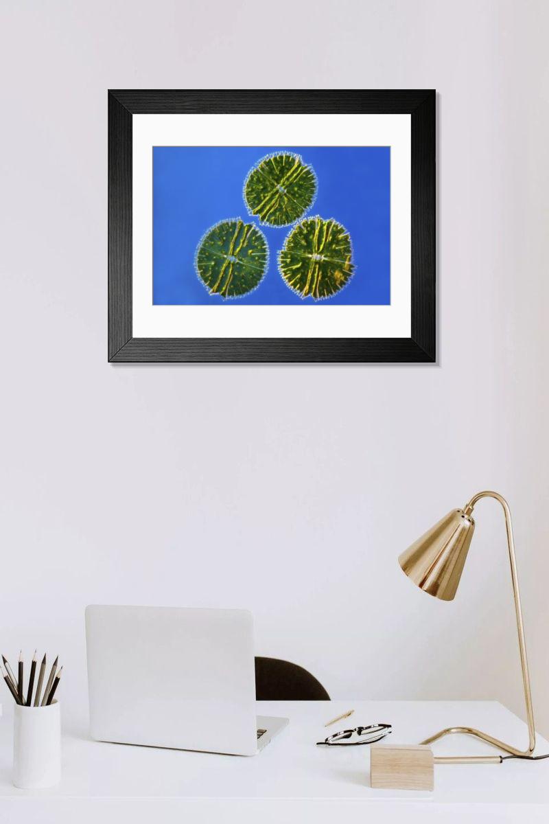 Shown hanging in a room: Modern 14"x12" (36x31cm)