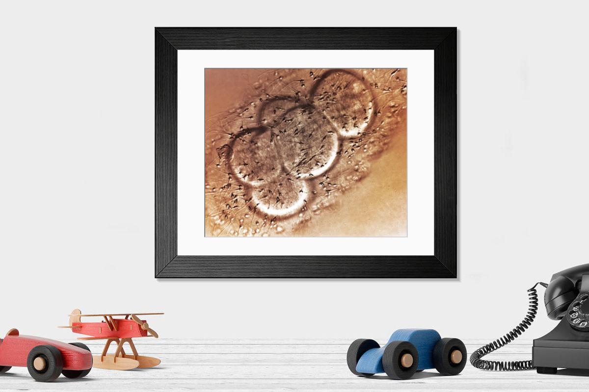 Shown hanging in a room: Modern 14"x12" (36x31cm)