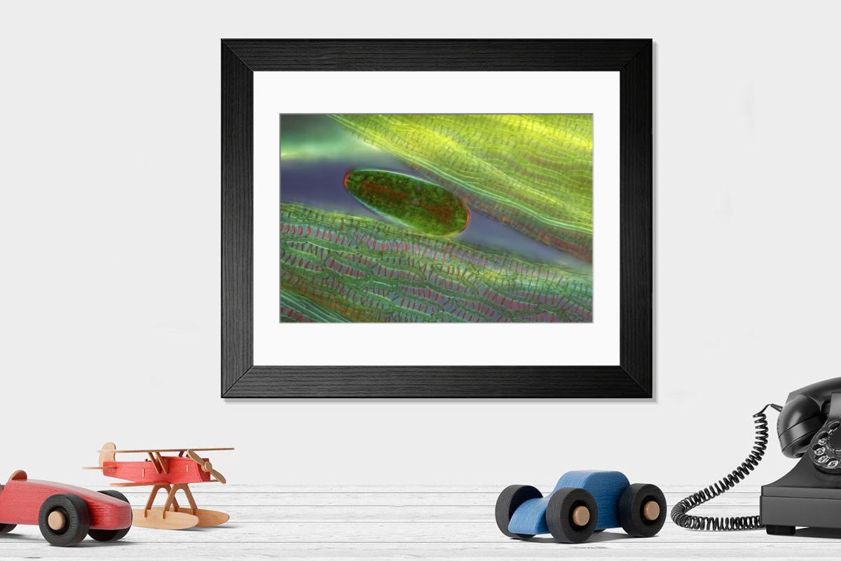 Shown hanging in a room: Modern 14"x12" (36x31cm)