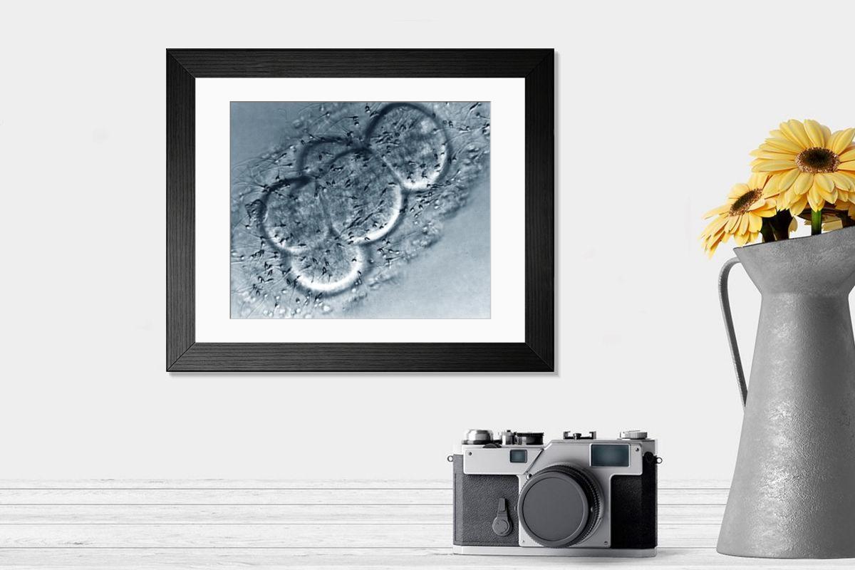 Shown hanging in a room: Modern 14"x12" (36x31cm)