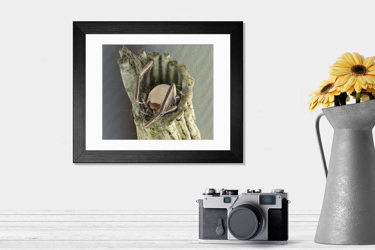 Shown hanging in a room: Modern 14"x12" (36x31cm)